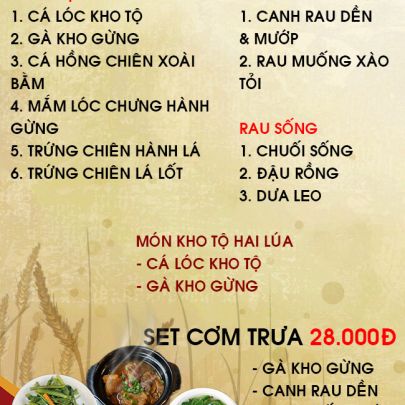 CƠM TRƯA NGÀY 11-01-2023