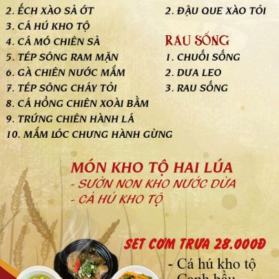 CƠM TRƯA NGÀY 10-10-2024