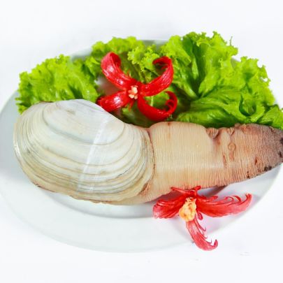 Ốc vòi voi tái mù tạt